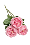 Pembe 3'lü Islak Şakayık