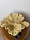 Sarı Mercan Obje