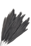 Siyah Pampas Tüy Demeti 5'li
