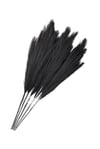 Siyah Pampas Tüy Demeti 5'li
