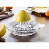 Cam Limon Sıkacağı