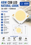 48W COB LED Natural 4000K 19x19mm 36-40V 1200mA