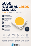 5050 NATURAL 3950K SMD LED 