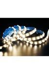 LKL-1808 24V 42LED/M 30' 20W INDOOR
