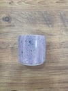 BLUE DESERT ROSE ARTİSTİK SIR 