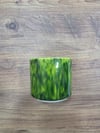 CITRUS IN THE GRASS ARTİSTİK SIR 