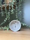 COOKIE&CREAM DOCE YÜKSEK DERECE ARTİSTİK SIR STONEWARE