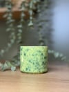 FERN GLAZE DOCE DÜŞÜK DERECELİ ARTİSTİK SIR SERAMİK
