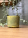 MOSS&CLAY DOCE DÜŞÜK DERECELİ ARTİSTİK SIR SERAMİK