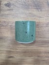 SPOTTED MINT GREEN ARTİSTİK SIR 