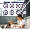 Askıda Mama