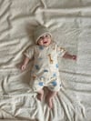 Animal Baby Takım