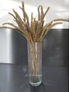 Botanic Vazo 27 Cm Ayaksız İnce Dik Kesme Mat