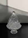 Kapaklı Sunumluk Büyük Boy Çit Şeffaf