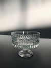 Sandra Kase Sarmaşık Şeffaf 19cm