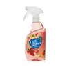 Gizli Bahçe Yeni Nesil Oda Spreyi Nektarin 500 ml
