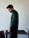 Roberto Tam Balıkçı Zümrüt
