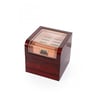 Havana Elite Humidor Camlı