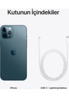 Apple iPhone 12 Pro Max 256 GB Mavi
