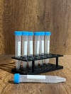 15ml Falkon Santrifüj Deney Tüpü Standı (6*3) (Tüpler görsel amaçlıdır)