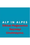 Kaktüs Kürdanlık