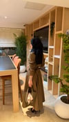 CAMEL DRESS