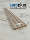VİZON