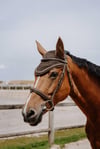 At Kulaklığı - Equitheme Hexalight
