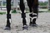At Tendon Koruma Getri - Equitheme Protege Boa
