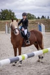 Binici Yarışma Ceketi - Equitheme - Soft Klasik