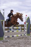 Binici Yarışma Ceketi - Equitheme - Soft Klasik