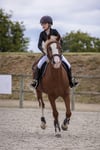 Binici Yarışma Ceketi - Equitheme - Soft Klasik