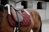 EQUITHÈME Pro Air Eyer Altlığı - Bordo (At Boyu / Full)