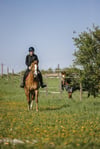 Equitheme Airsafe Hava Yastığı Binici Yeleği