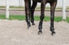Equitheme Je t'aime Tendon Koruma Getr ve Topuk Botu Seti (4'lü Takım)