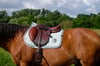 Eyer Altı - Equitheme Softhex
