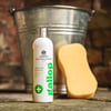 Gallop Medicated Shampoo