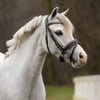 Pony Başlık - Bixie - Dizgin Dahil