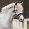 Pony Başlık - Bixie - Dizgin Dahil