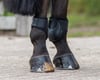 QHP Champ Cırt Cırtlı Arka Getr (Fetlock Boots)
