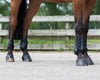 QHP Champ Cırt Cırtlı Arka Getr (Fetlock Boots)