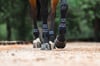 TRH5 Ön Tendon Koruyucu Getr - Siyah
