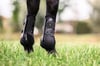 TRH5 Ön Tendon Koruyucu Getr - Siyah