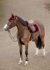 Velvet Atlama Eyer Altı (Ruby)