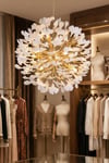 55024 Luxury Avize