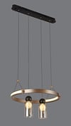 AV02-0002-2799 Ledli Avize