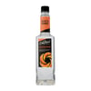 DVG Acı Portakal Aromalı Şurup (Bitter Orange)
