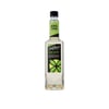 DVG NANE VE LİMON AROMALI ŞURUP (MENTA CUBANO)750 ml