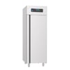 Frenox BN7-M-R290 – 1 Kapılı Dik Tip Buzdolabı (700 lt)