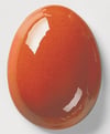 263-blutorange--8c4e2.jpeg